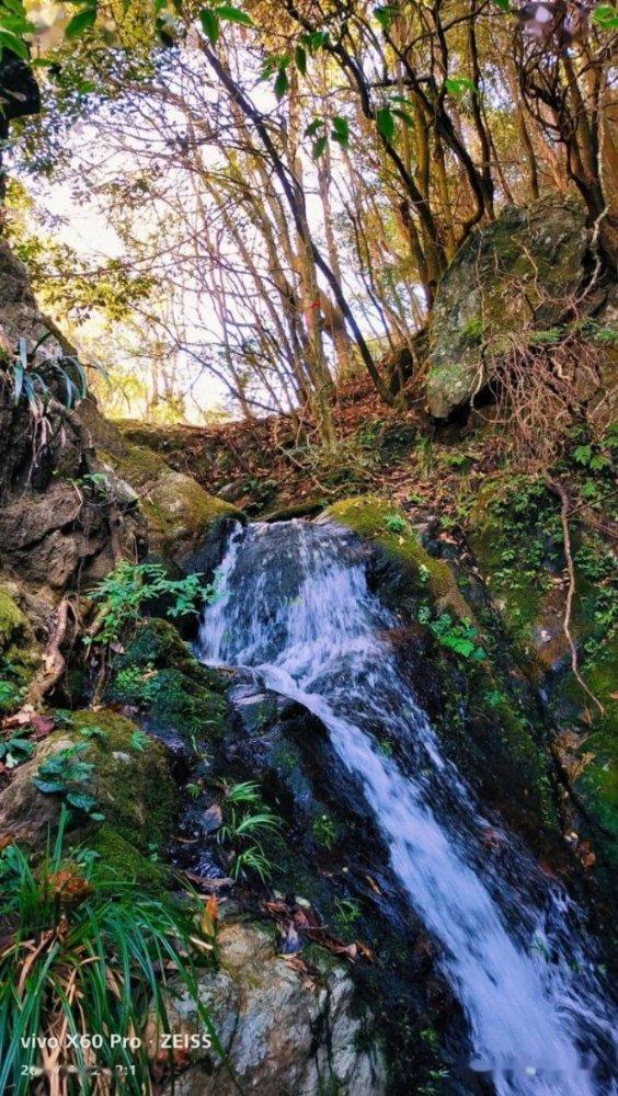 遭遇同事借钱，到底是借还是不借？游戏画面